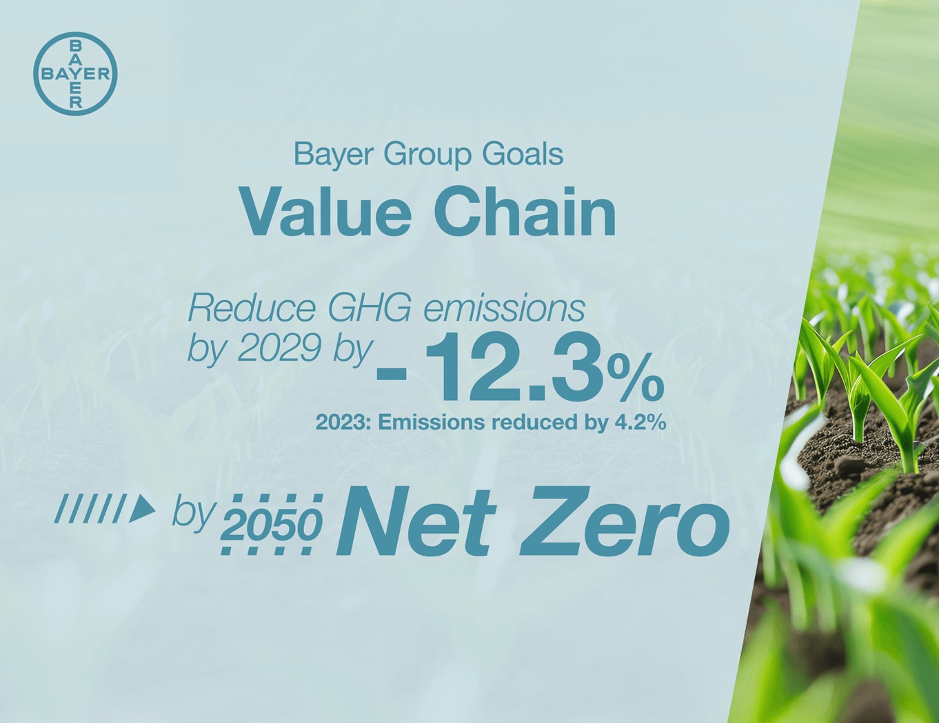 Image showing bayer group goals value chain